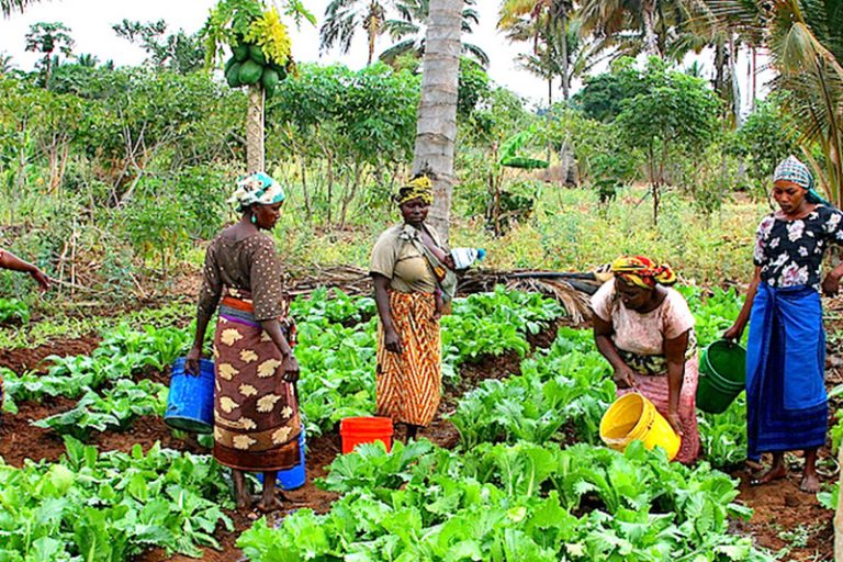 FG Targets N2trn Annual Revenue From Blue Economy By 2027