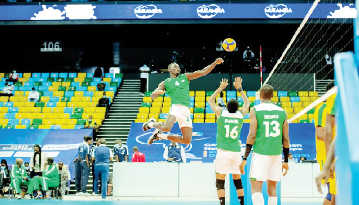 Volleyball Federation Urges Corporate Investments 
