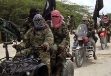 Newborn Dies During Boko Haram Attack on Borno Communities