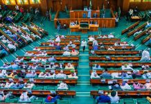 Reps Launch Probe into Xenophobic Attacks on Nigerians in South Africa, Seek Compensation for Victims Photo of members of House of Representatives