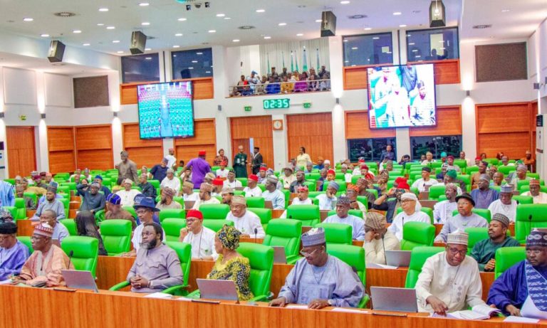 Reps Advance Bill To Make Voting Compulsory For All Adults
