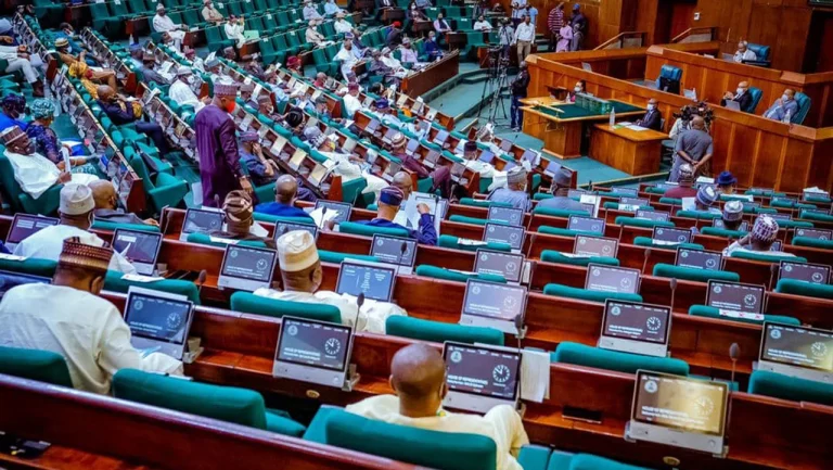Reps Probe Killing Of Military Personnel On Peace Mission Across Nigeria