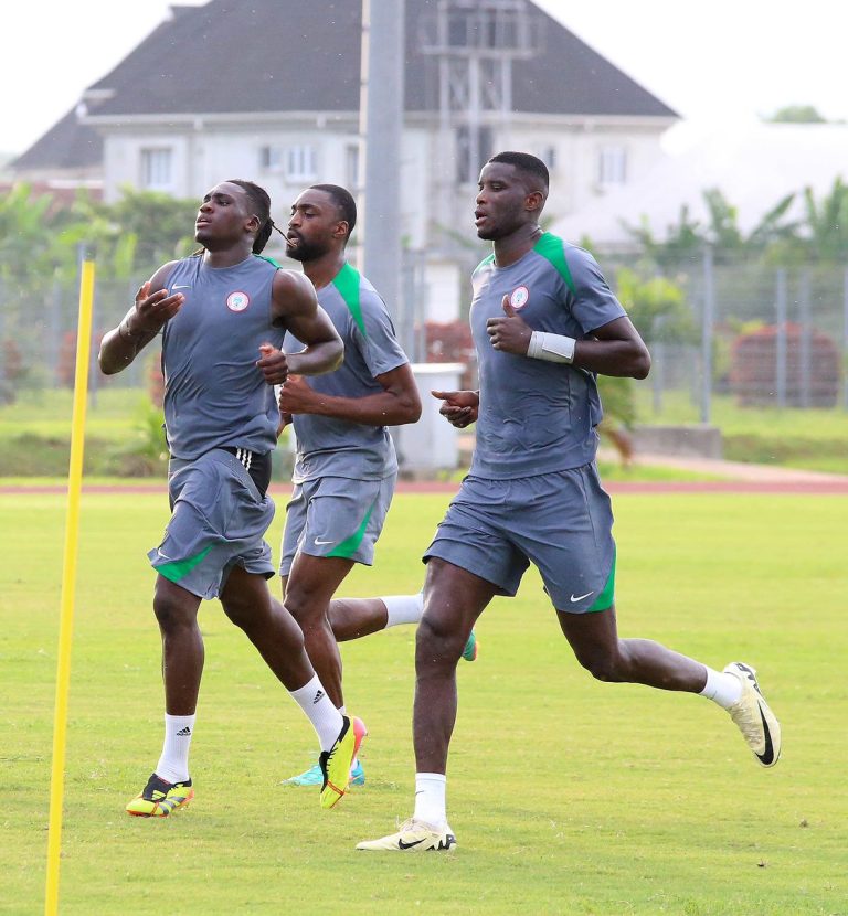 2026 FIFA World Cup Qualifier: Okoye on way to Uyo to complete roll in Eagles’ camp
