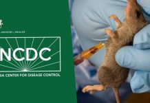 NCDC Reports Fresh Rise In Lassa Fever Cases As Death Toll Hits 221 In 2026