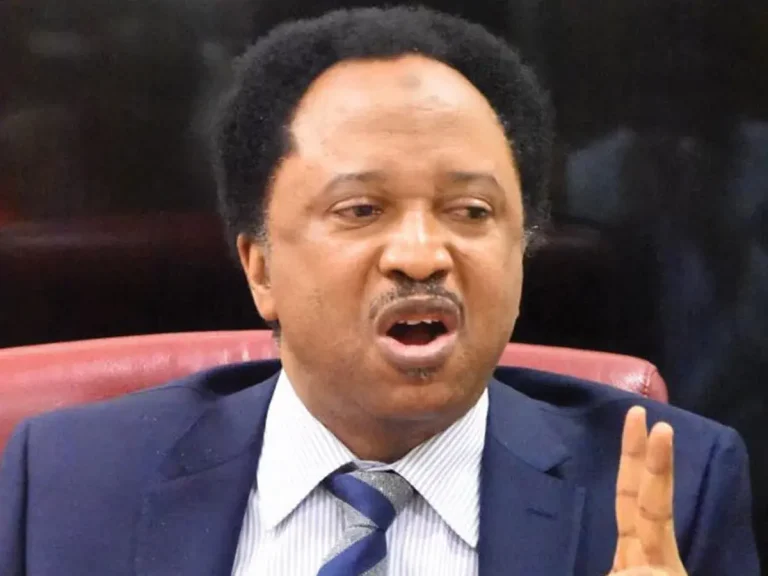 Autonomy, Only Way To Save LGs — Sani