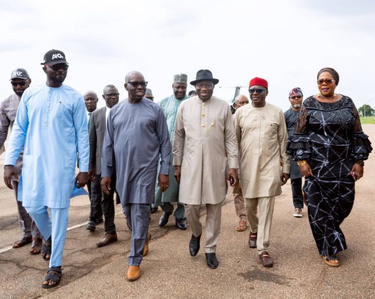 We Need Politicians With Vision To Groom Intellectuals, Bring About Development -Jonathan