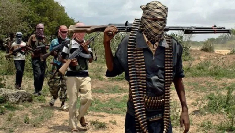 Gunmen Attack Taraba Community, Kill Monarch 