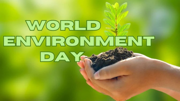 WED 2024: NNPC Foundation Plants 70 Economic Trees In Enugu School