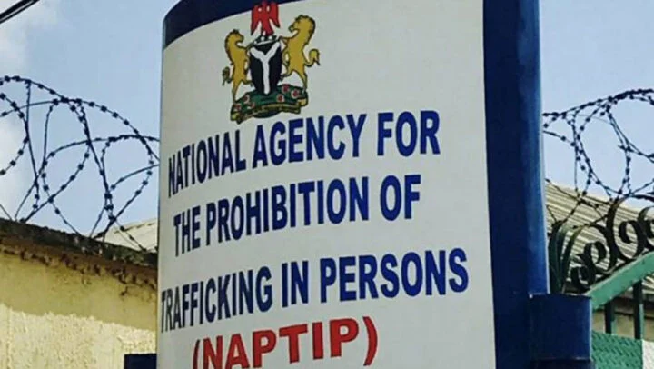 NAPTIP, ICMPD Alert Public On New Human Trafficking Tactics 
