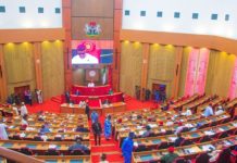 Senate Moves to Fast-Track State Police Bill Amid Rising Insecurity