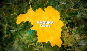 Society Constructs Houses For Widows, Orphans In Kaduna