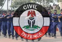 NSCDC Foils Pipeline Vandalism Attempt In Edo, Recovers Equipment