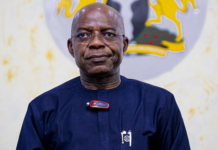 Poor Leadership, Not Democracy, Is Nigeria’s Problem — Otti