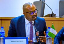 How NIMC Database Got 7 Boko Haram, ISWAP Commanders Arrested – Tunji-Ojo MINISTER-OF-INTERIOR