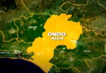 Gunmen Abduct Nine-Year-Old Boy During Midnight Attack in Ondo Community ondo