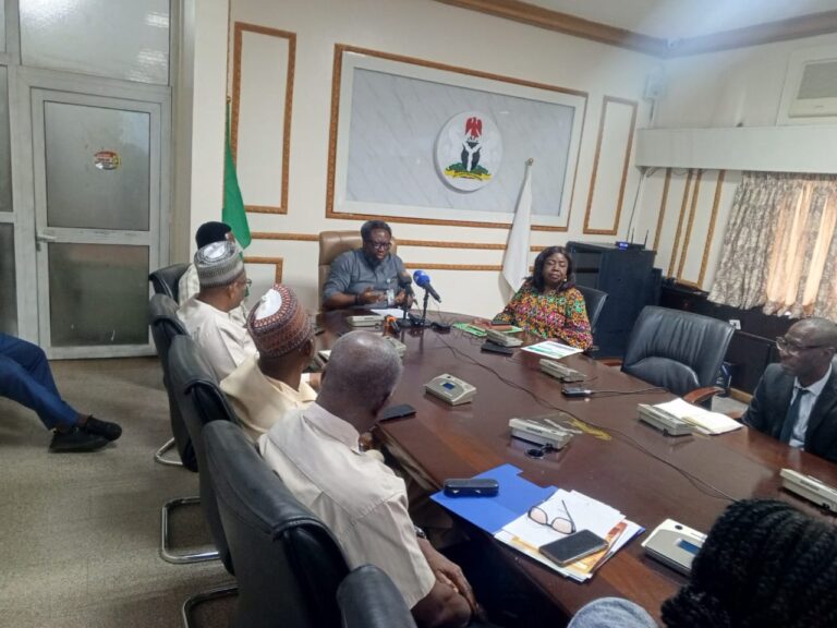 Industrialization: Nigeria to Lead Africa in Achieving 30% Value Addition on Raw Materials