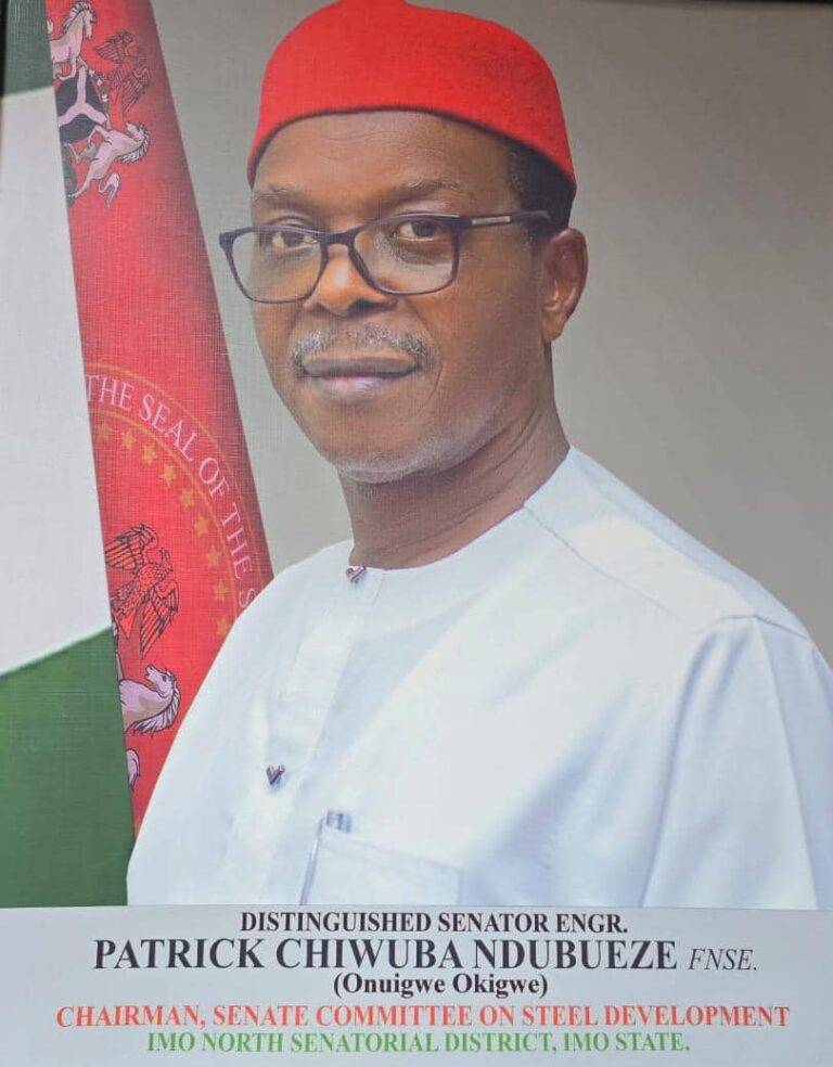 Local Automative Patronage Bill-2025 Of Senator Ndubueze Passes Second Reading At NASS