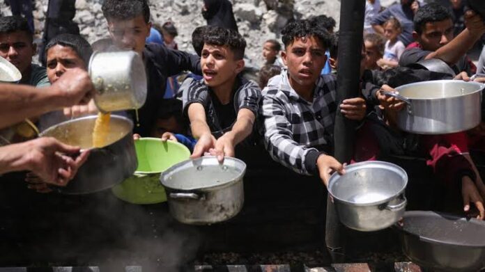 Photo of Gaza children with plate waiting for food