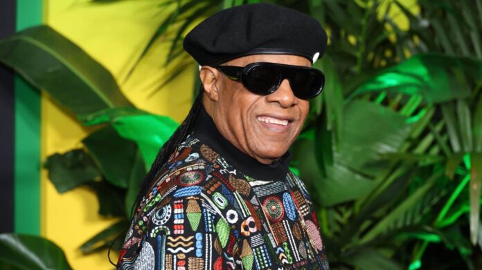 Stevie Wonder