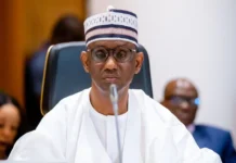 Porous Borders Fuel Terrorism, Arms Trafficking, Smuggling — Ribadu