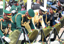 Fallen Heroes: More Action Necessary