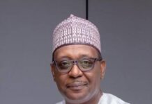When Survival Becomes Luxury: The Human Cost Of Lassa Fever In Rural Nigeria