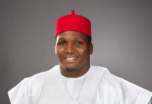 Hon Akarachi Amadi: Redefining Representation Through Impact And Development