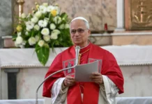 Pope Leo XIV Urges World Leaders to End Conflicts ‘As Human Beings, Not Beasts’