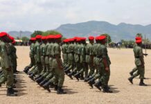 Bauchi Governor Inducts 2,187 Forest Guards, Urges Professionalism