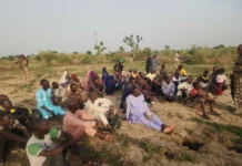 Troops Rescue 53 Civilians, Recover Eight Vehicles After Foiling ISWAP Roadblock In Borno