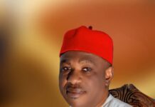 Democracy Day: Political Chieftain Advocates For Collective Sacrifice, Patience, National Unity