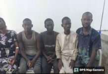 Troops Rescue Five Kidnap Victims As Terrorists Flee sustained Military Onslaught