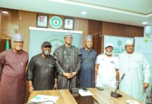 NSC, NFF Undertake Bold Reforms to Reposition Nigerian Football, as Chelle Gets New Contract, Expanded Role