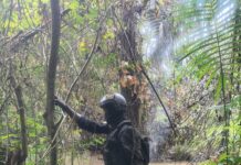 Nigerian Navy Disrupts Creek Based Illegal Fuel Movement, Recovers 22,870 Litres Of AGO