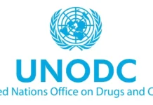 UN Warns Rising Drug Trade Is Worsening Insecurity in Nigeria