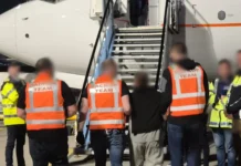 Ireland Deports 42 South Africans in €735,000 Immigration Operation