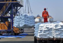 Fertilizer Exports Hit N1.37trn In Q1 2026, Becomes Nigeria’s Biggest Fx Earners