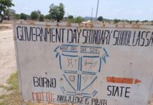 Borno School Attack: 37 Students Unaccounted For Despite Military Rescue Operation