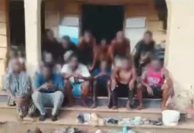 Abia Police Arrest 31 Suspected Drug Dealers In Crackdown On Criminal Hideouts