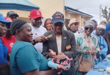 Rotary District 9127 Intensifies Drive To Reduce Maternal, Infant Deaths In FCT