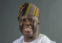 Senate Confirms Professor Abayomi Fasina As Non-Career Ambassador Despite Opposition