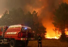 France, Spain Wildfires Force 267,000 Evacuations as Massive Blazes Continue to Spread