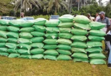 FCT Farmers Raise Alarm Over Delay in Release of 6,800 Bags of Free Fertiliser