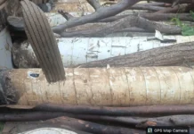 Nigerian Navy Arrests Pipeline Vandalism Suspects, Recovers Stolen Crude Oil Infrastructure