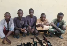 Troops Arrest Five Suspected Kidnappers, Recover Weapons in Yobe Raid