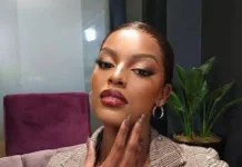 Chidimma Adetshina Returns To Court As South Africa Pushes Deportation Case
