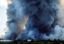 Ukrainian Drone Strikes Kill Eight As Russia Suffers Fresh Warehouse Attacks