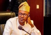 Court Orders Arrest Of Alleged PFIPC Director-General Over Forgery, Fraud Charges