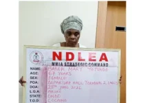 NDLEA Arrests PhD Student, UK-Based Woman Over Alleged Cocaine Trafficking